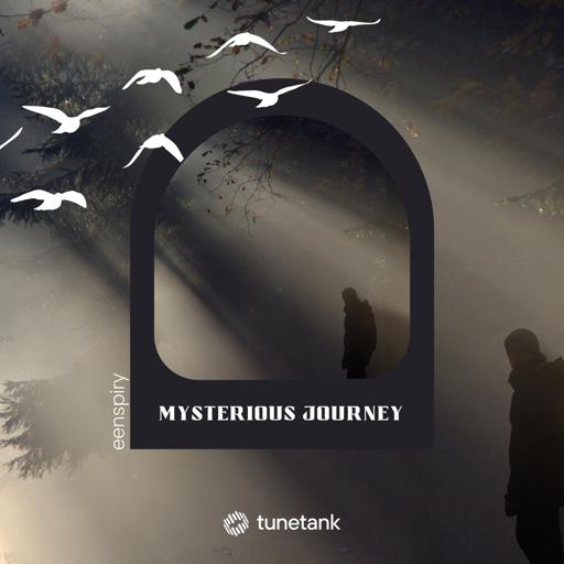 Mysterious Journey